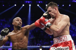 kaiyun 开云体育-北京队战术升级，期待再创佳绩！，北京鶸队